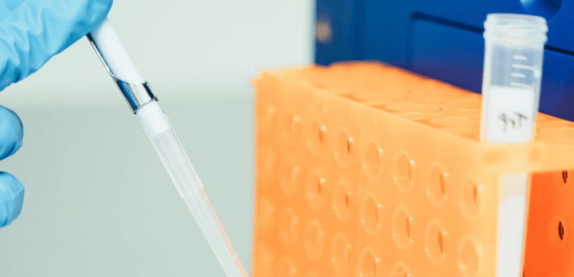 Cell Culture Environment